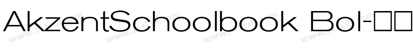 AkzentSchoolbook Bol字体转换